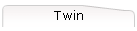 Twin